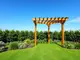 einzigartige-gartenarchitektur-die-halbrunde-pergola-aus-holz